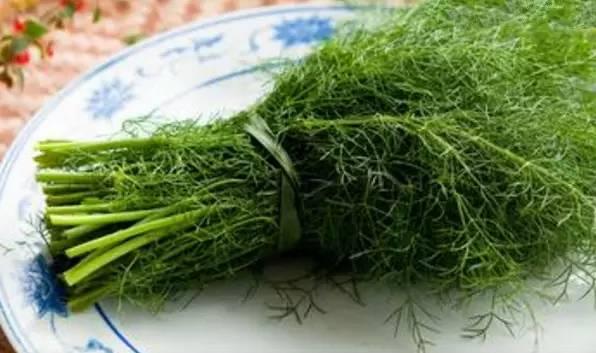 煮麵條用熱水還是冷水？答案意想不到